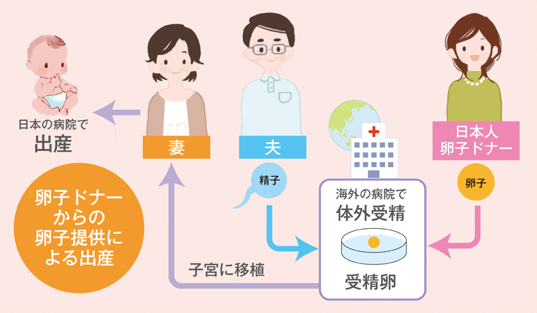 モンドメディカル-卵子提供プログラムの仕組み